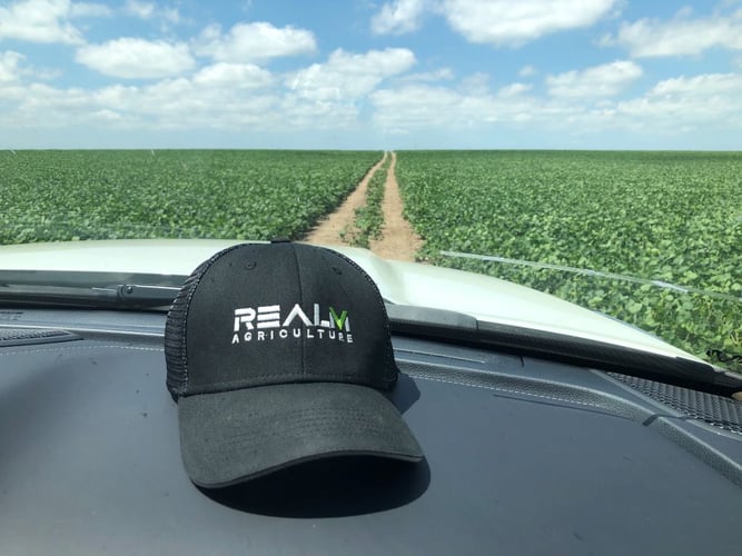 Soybean Field R5 Cap