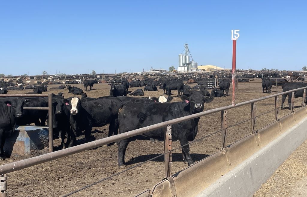 Darr Feedlot - 1024 Darr Feedlot - 1024