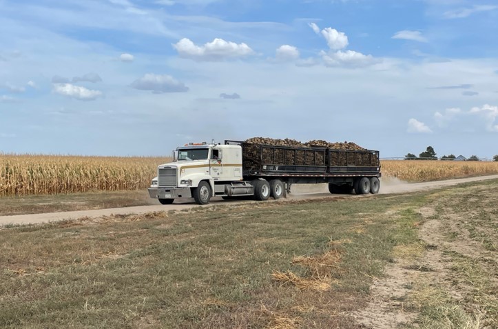 Sugar Beet Transport