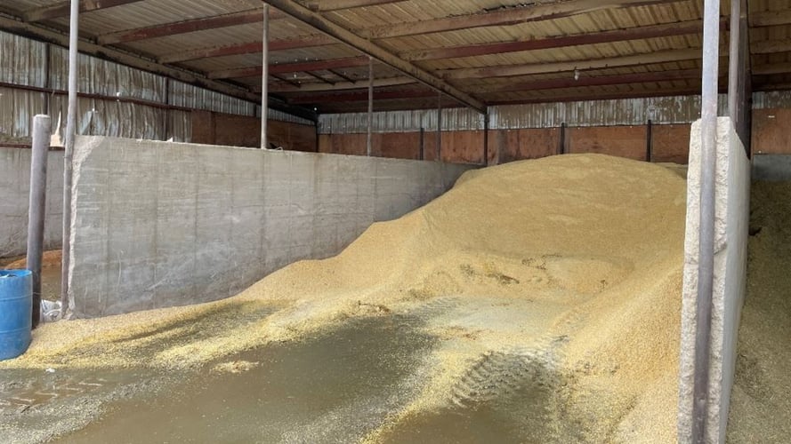 Dry Feed Bay - 1014 Dry Feed Bay - 1014