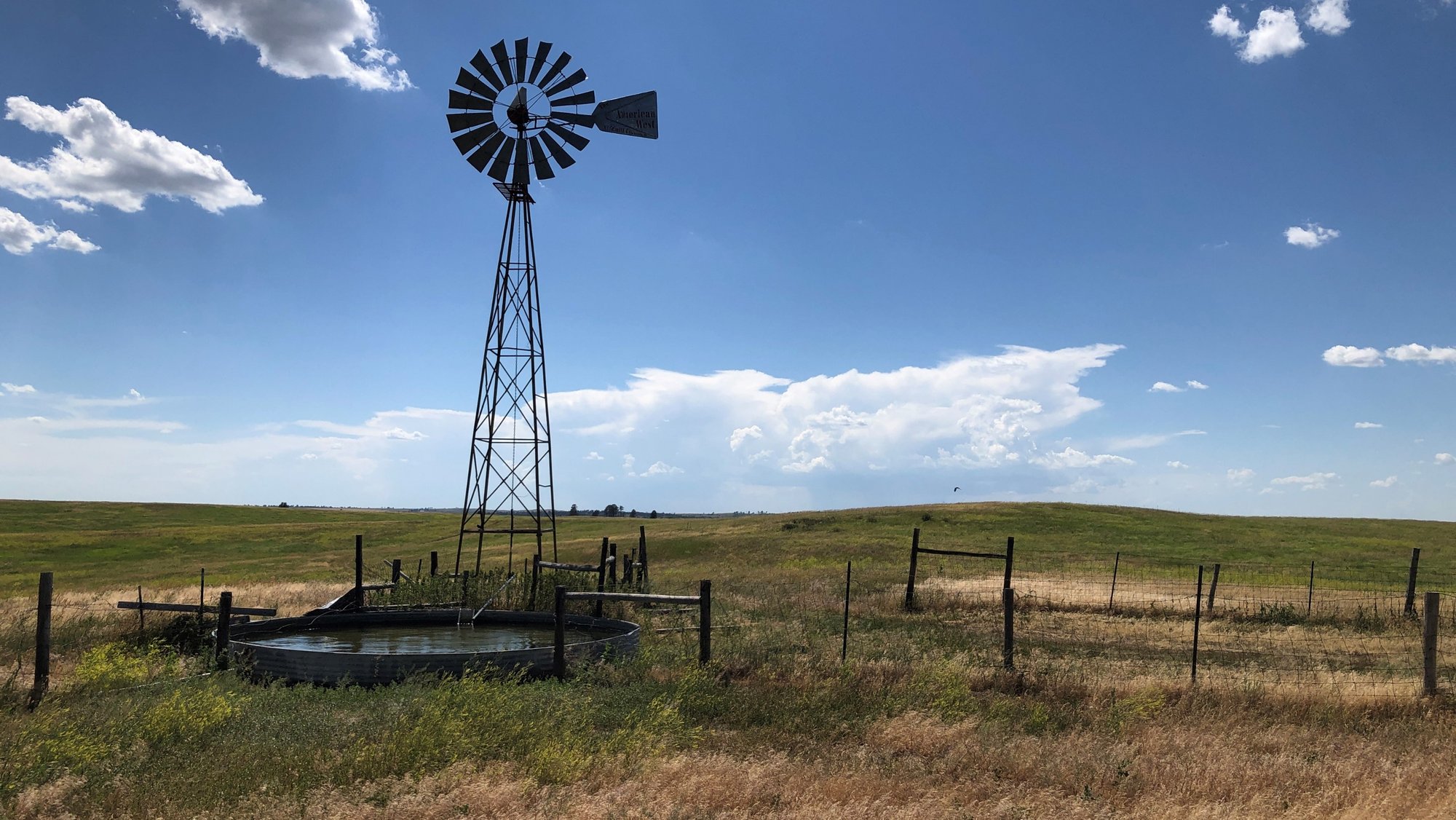 Windmill Windmill