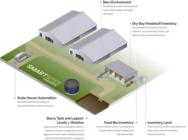 illustration-smartsites-livestock-1