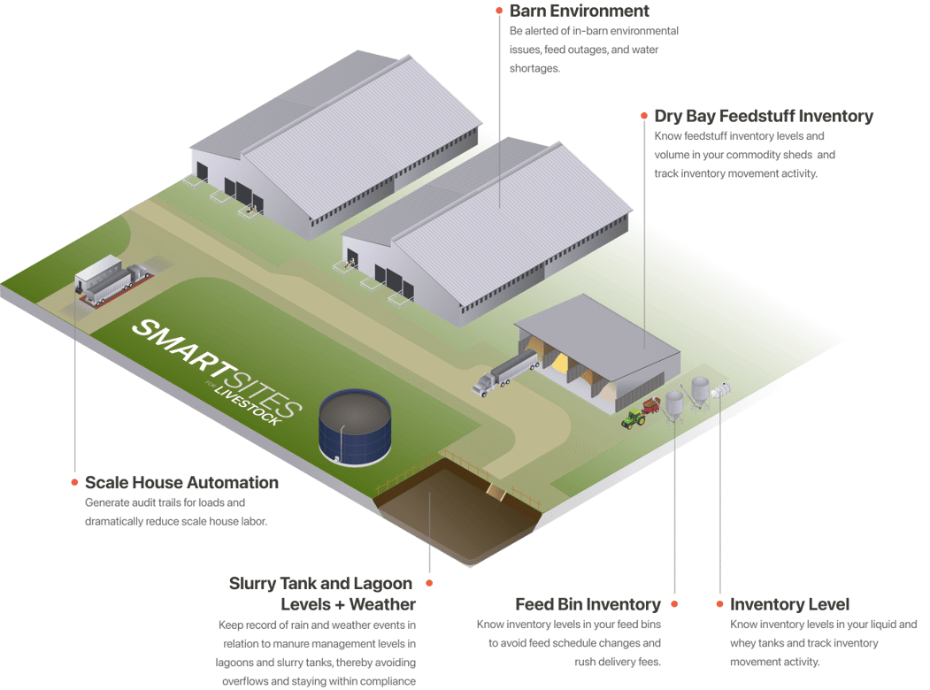 illustration-smartsites-livestock