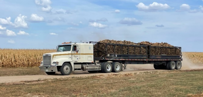 Truck - Sugar Beets