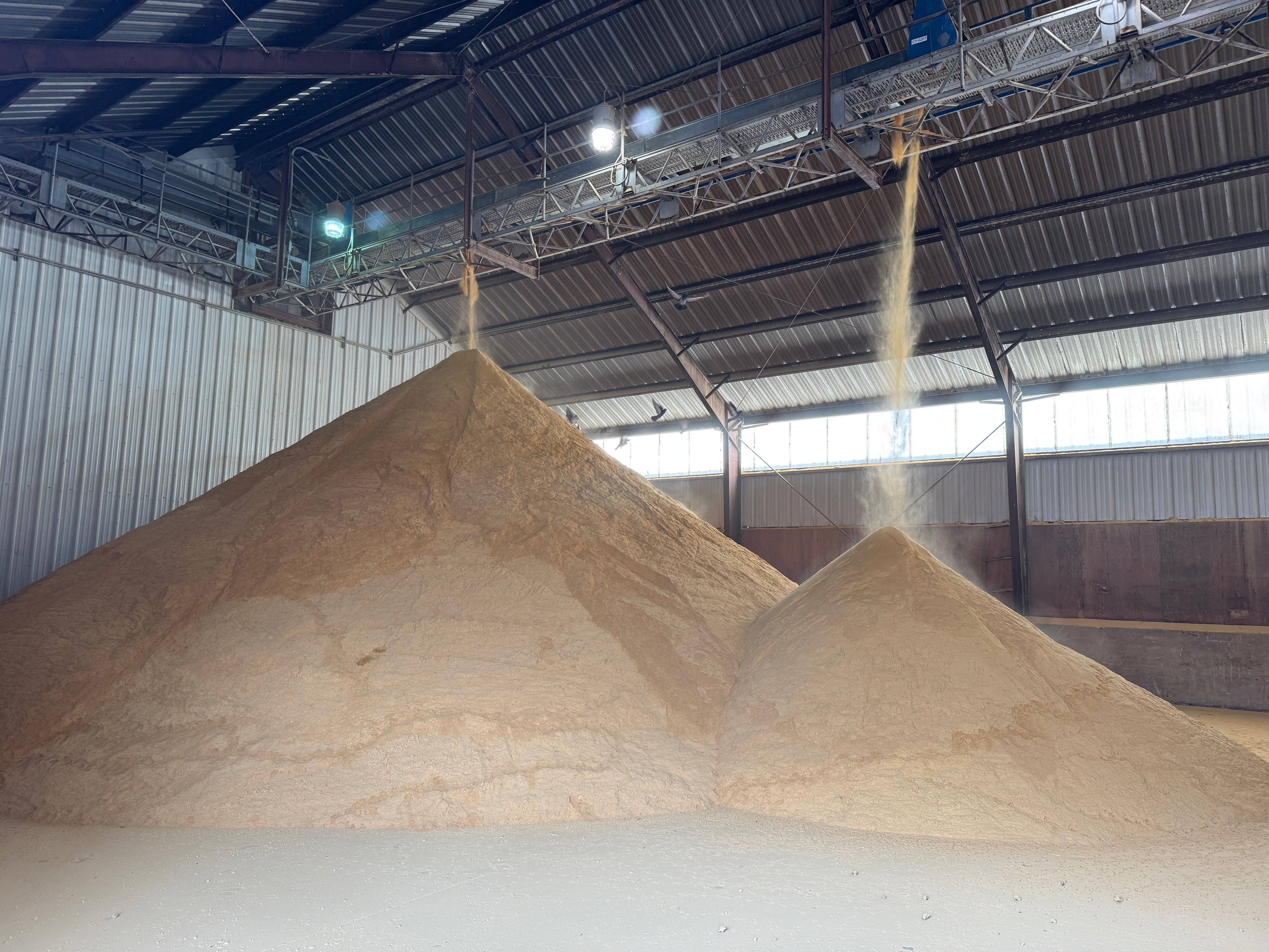 Dry Distillers Grain