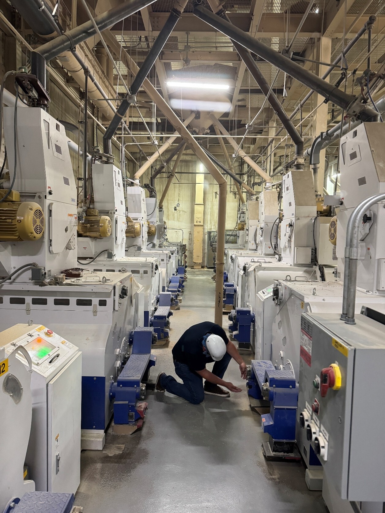 Farmers Rice Cooperative 2