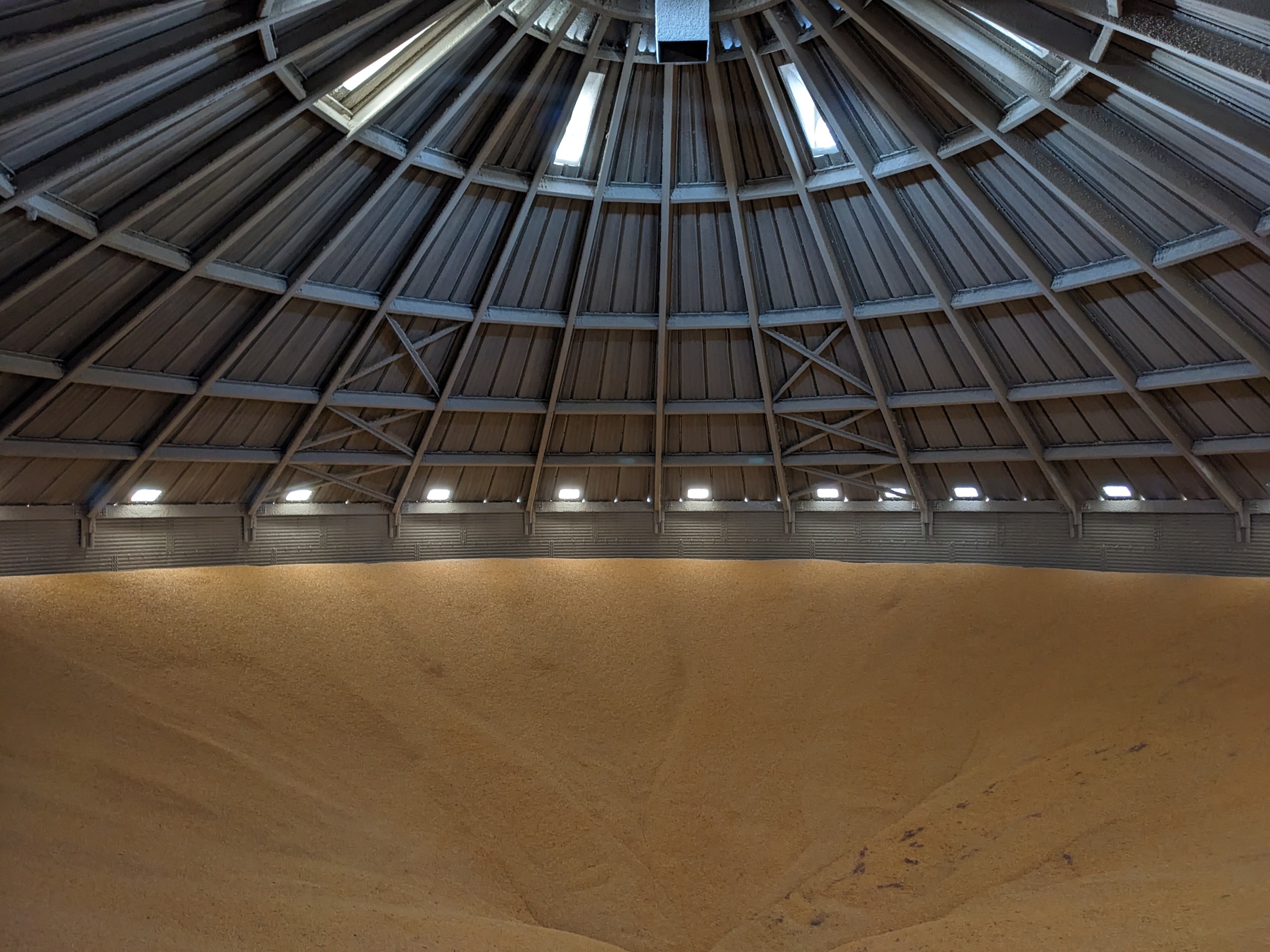 Grain Bin Inventory 4